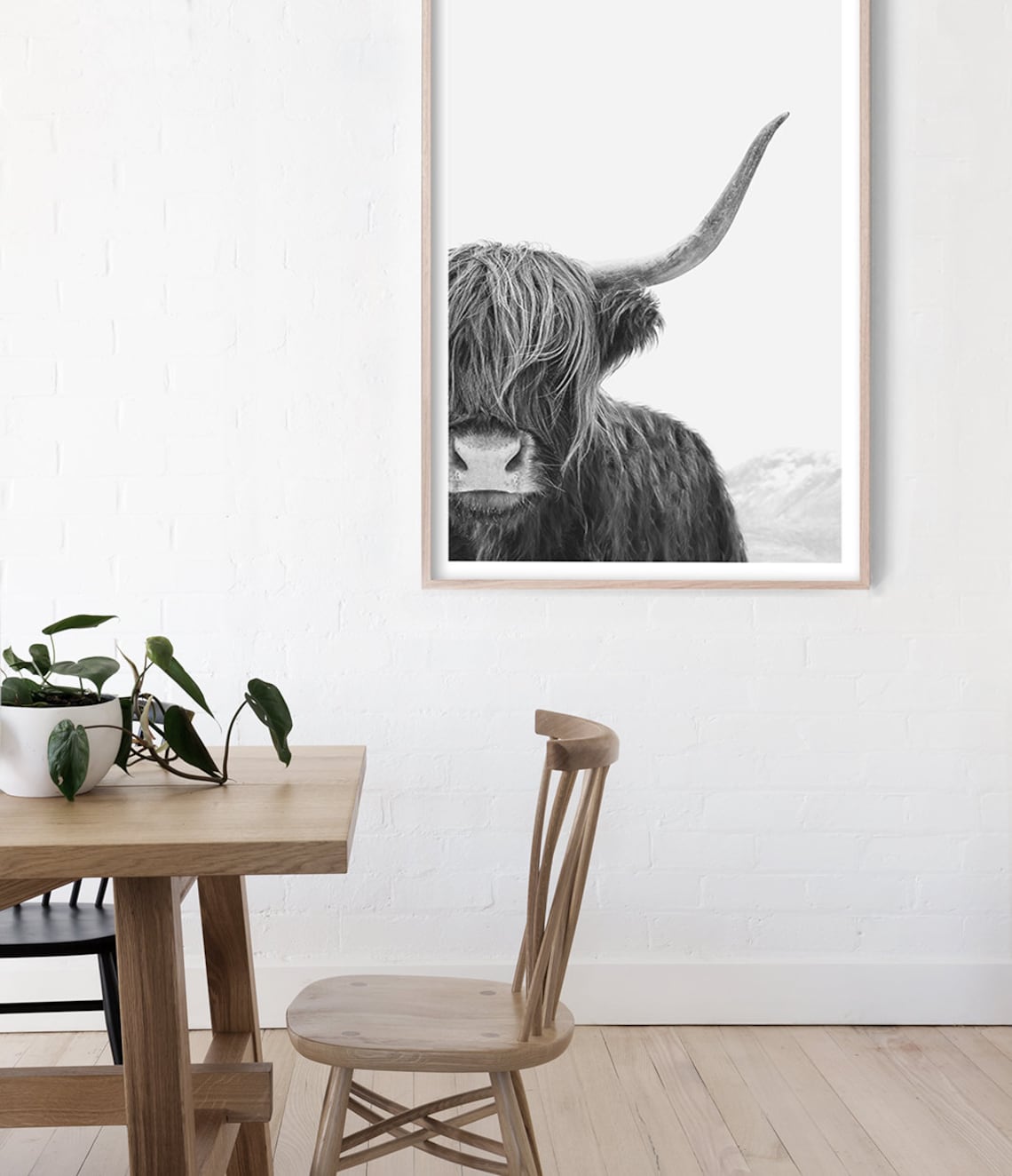 Black and White Highland Cow Photography Poster - Image 3