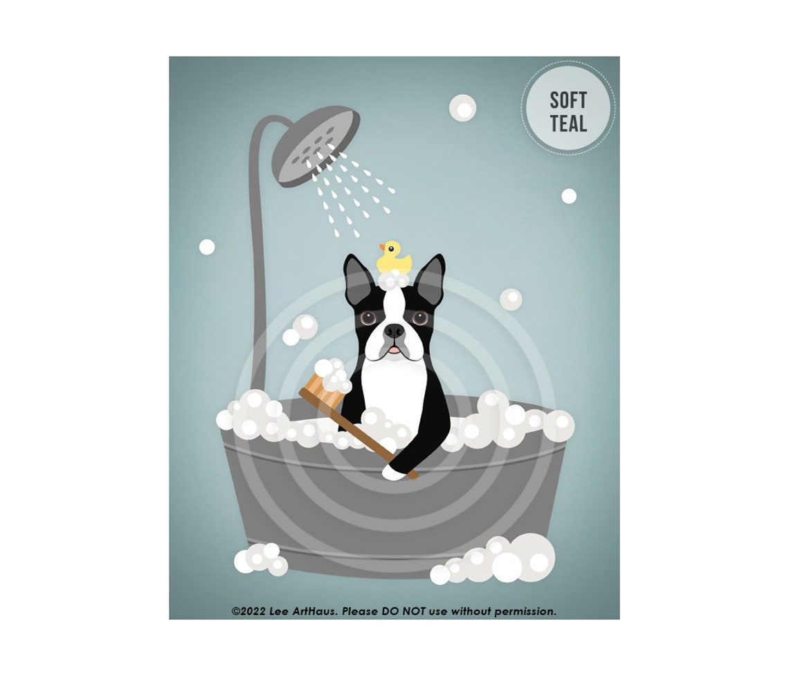 Boston Terrier Gray Metal Tub Shower Funny Bathroom Dog Art Poster - Image 4