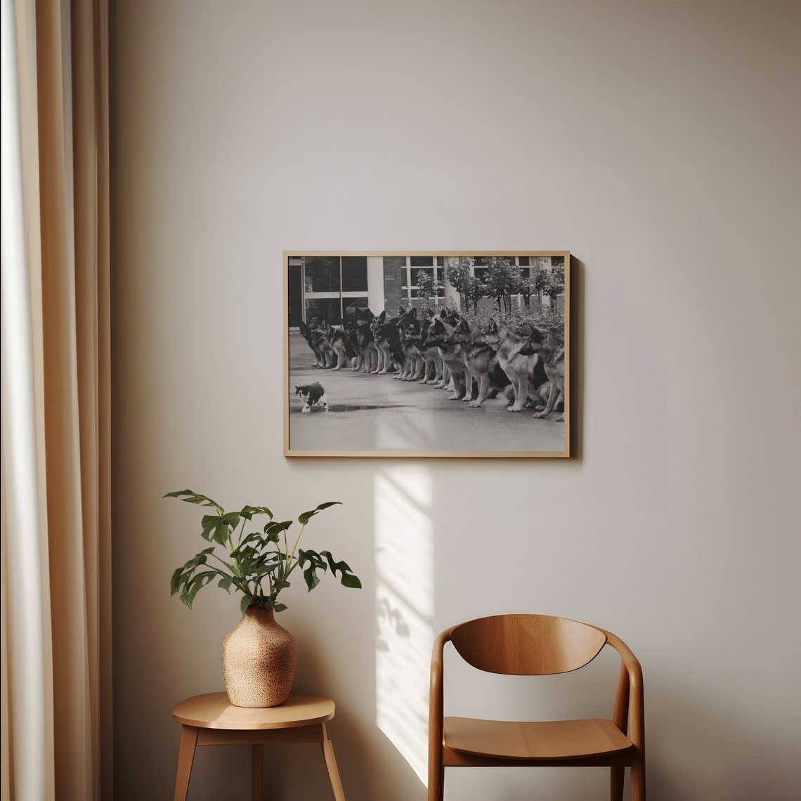 German Shepherds Ignoring a Cat Funny Police Dogs Trained Calm Poster - Image 4