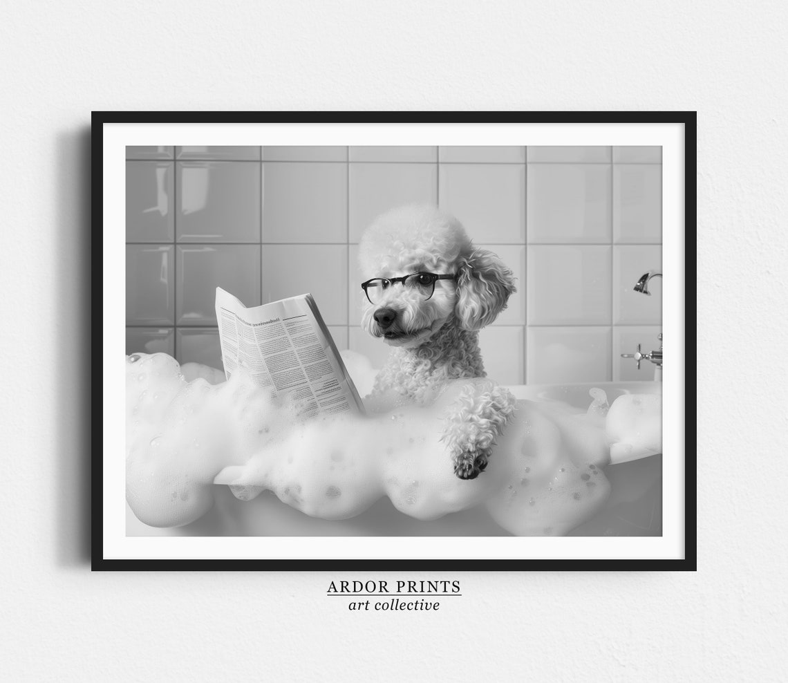 Poodle in Bubble Bath With Glasses Reading Newspaper Funny Dog Poster
