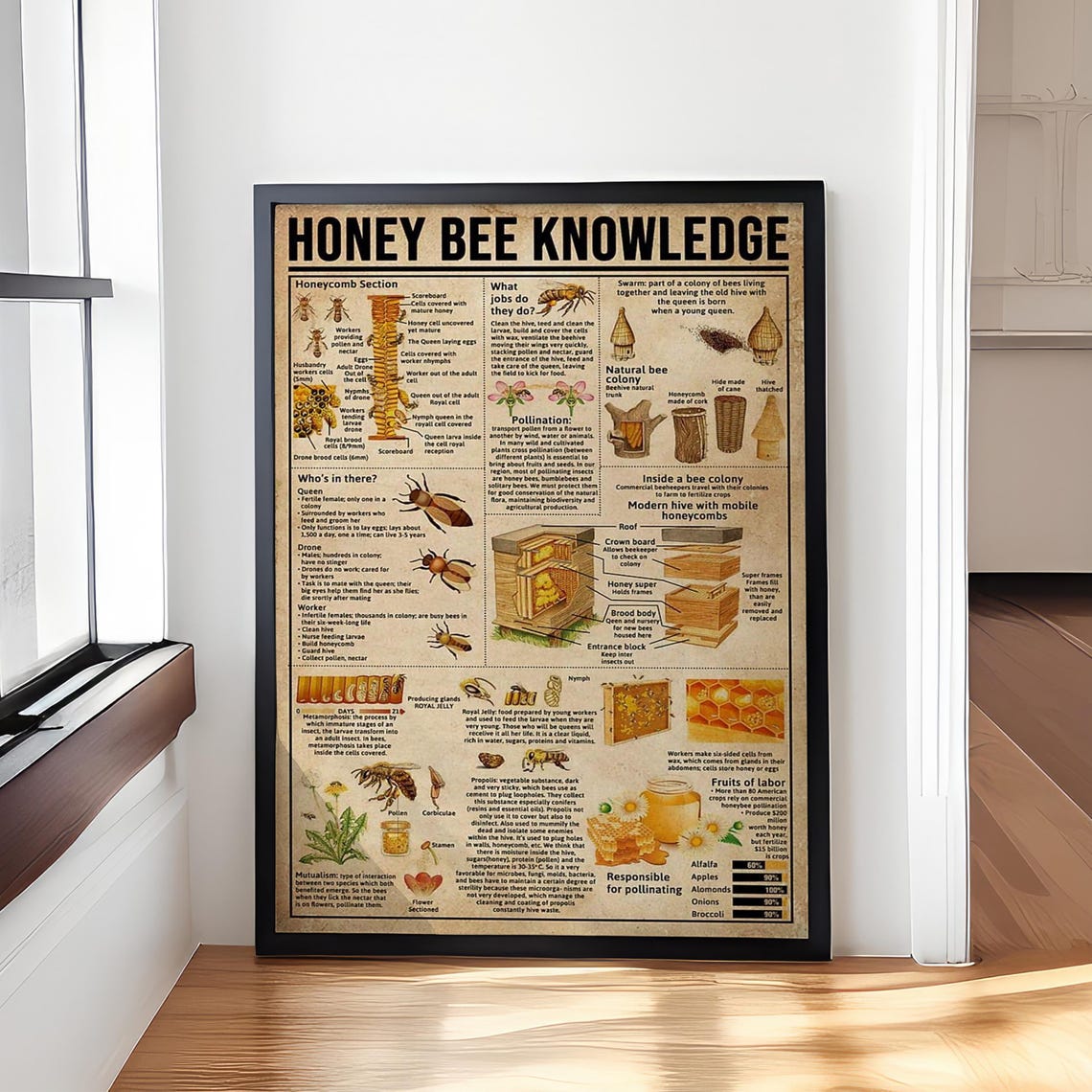 Honey Bee Knowledge Poster