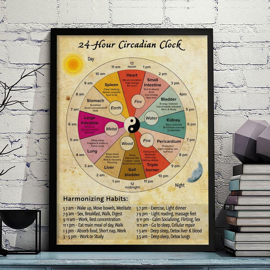 24-Hour Circadian Clock Chinese Medicine Organ Wheel Vintage Poster