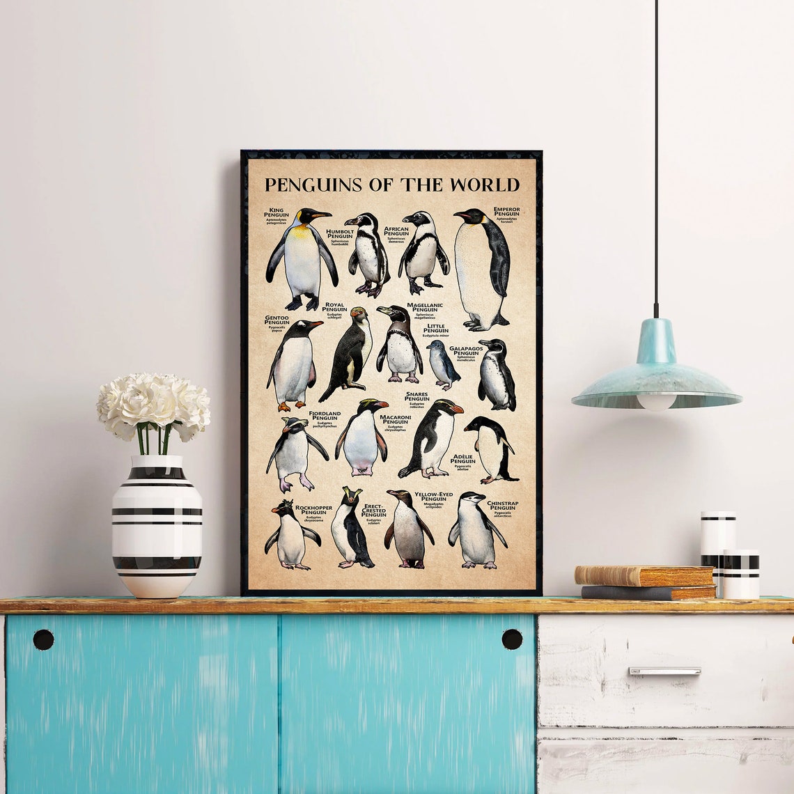 Penguins Of The World Illustrated Vintage Species Chart Poster - Image 3