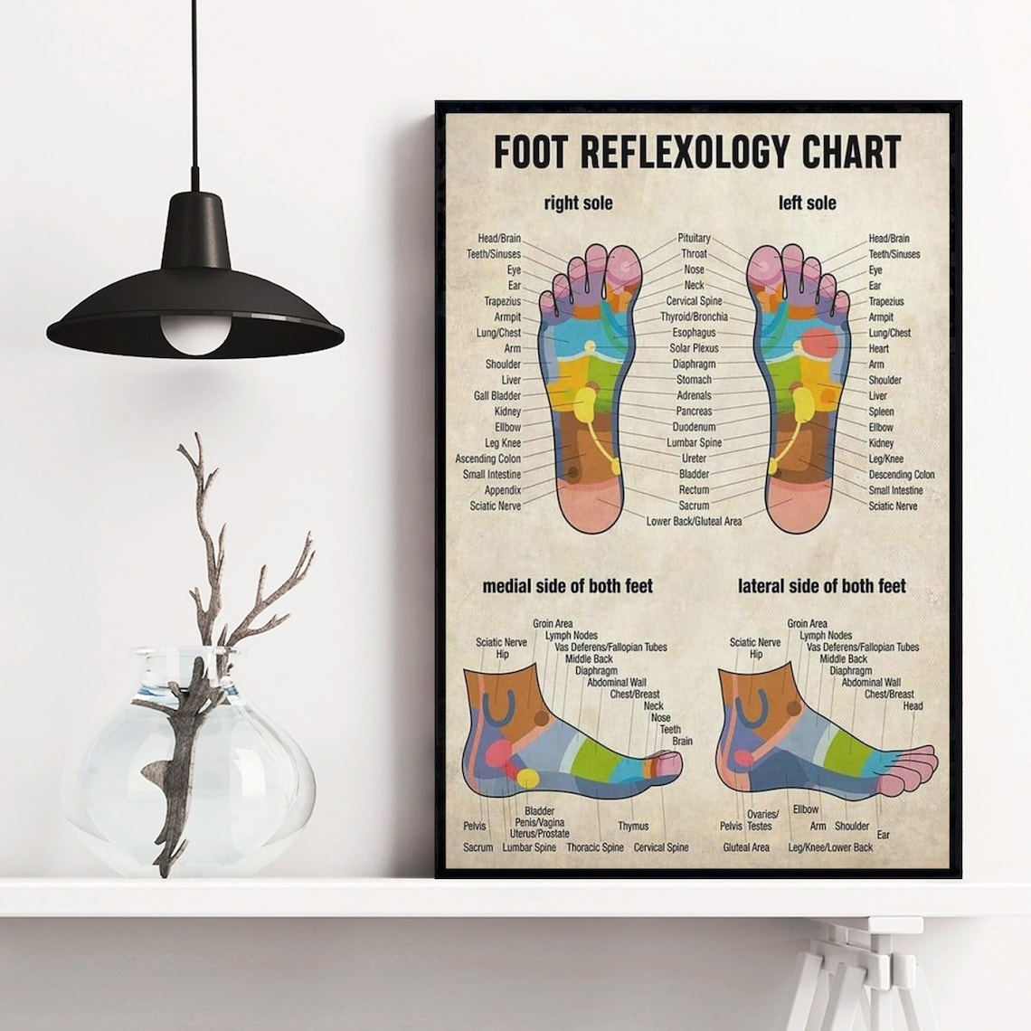 Vintage Foot Reflexology Chart Massage Therapy Educational Poster - Image 3