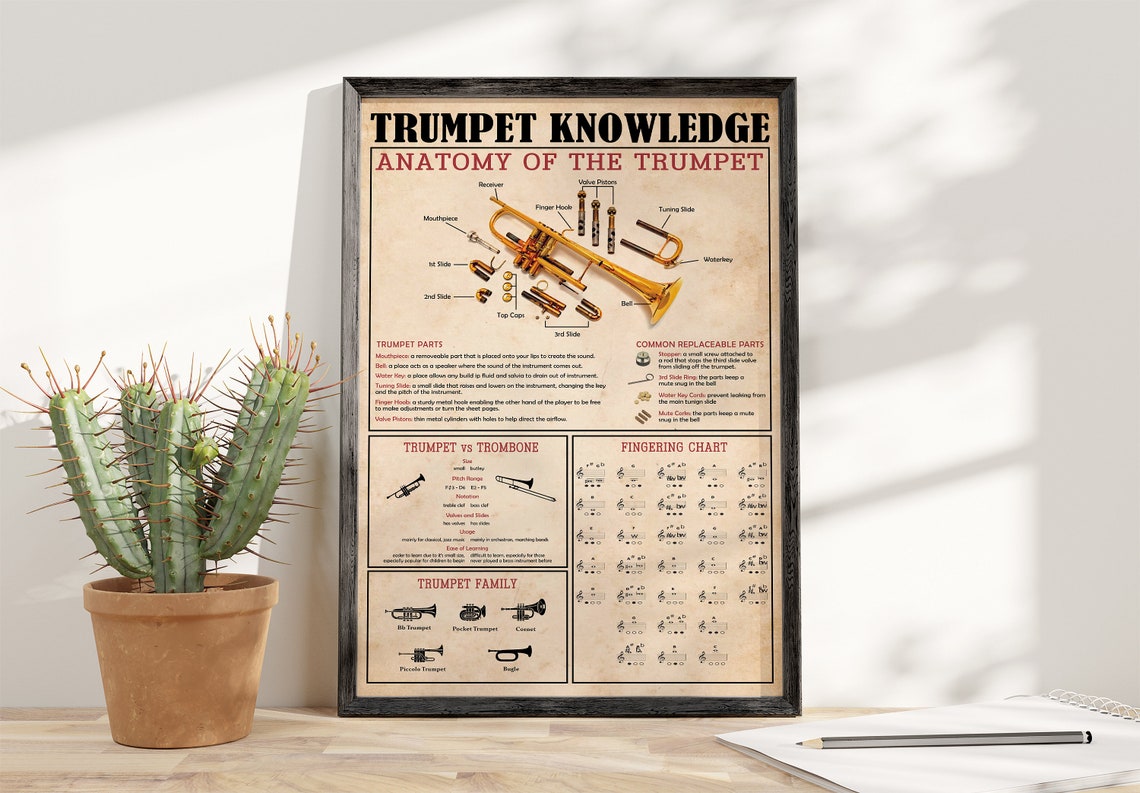 Trumpet Knowledge Anatomy and Fingering Chart Vintage Poster - Image 4