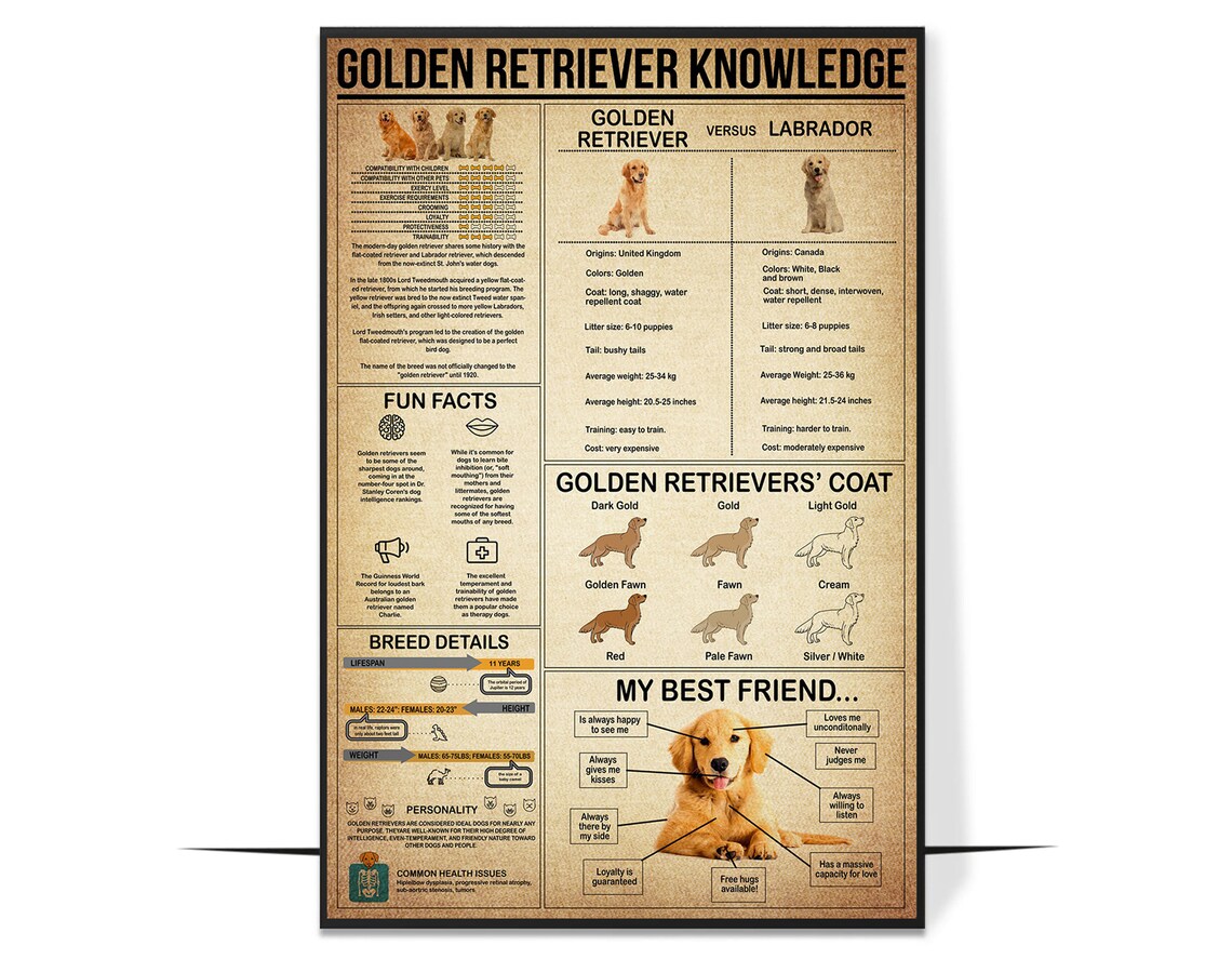 Golden Retriever Knowledge Portrait, Vintage Poster