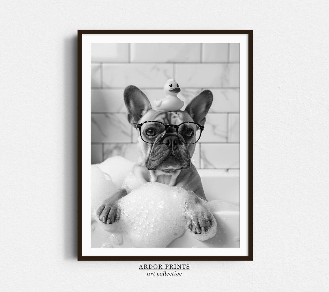 Frenchie Bath Dog and Rubber Duck Poster