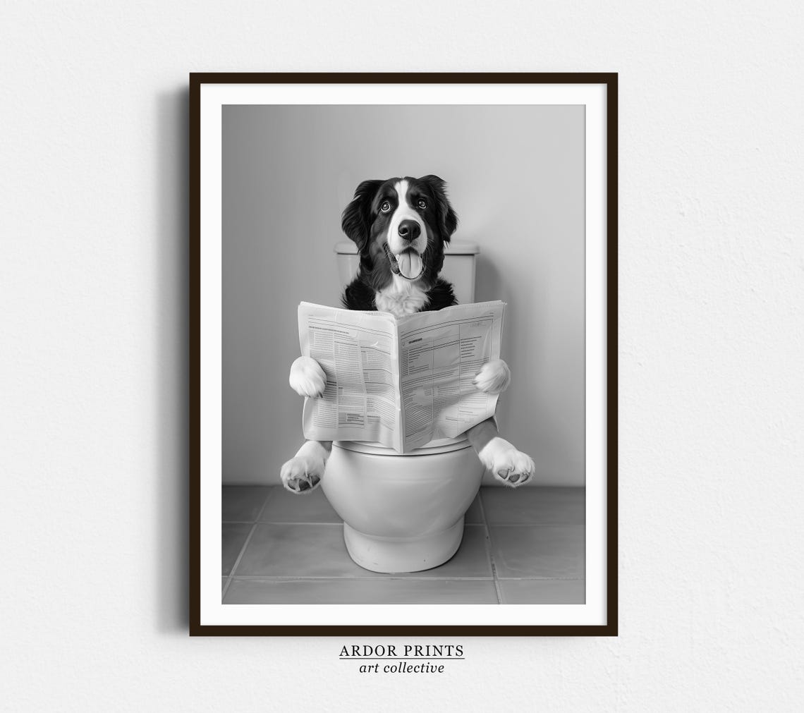 Bernese Mountain Dog Sitting on Toilet Reading Newspaper Dog Poster