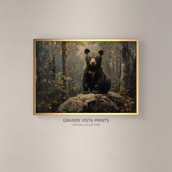 Black Bear Cub Rocky Forest Vintage Wildlife Portrait Wall Poster