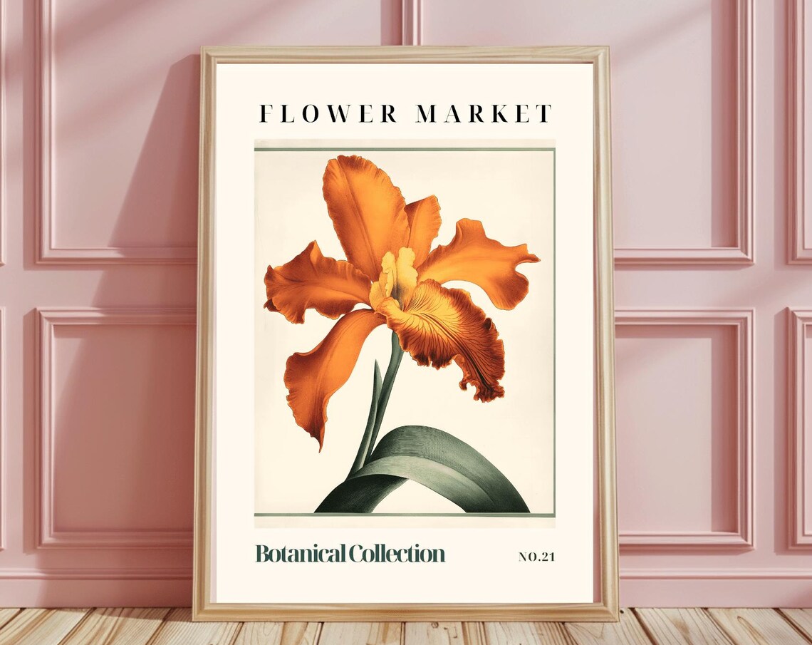 Flower Market Vibrant Orange Iris Botanical Collection No.21 Poster