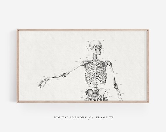 Halloween Skeleton Wall Art for Frame TV