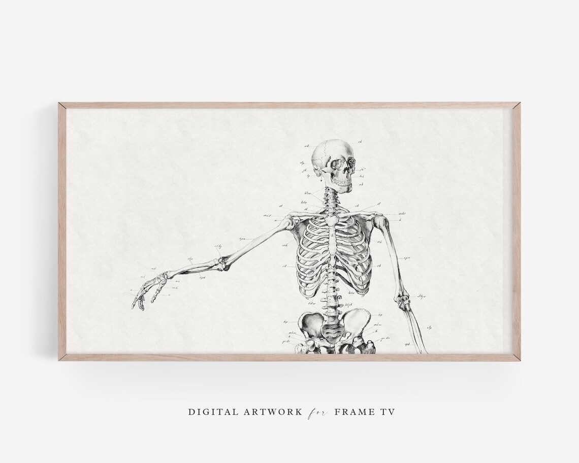 Halloween Skeleton Wall Art for Frame TV