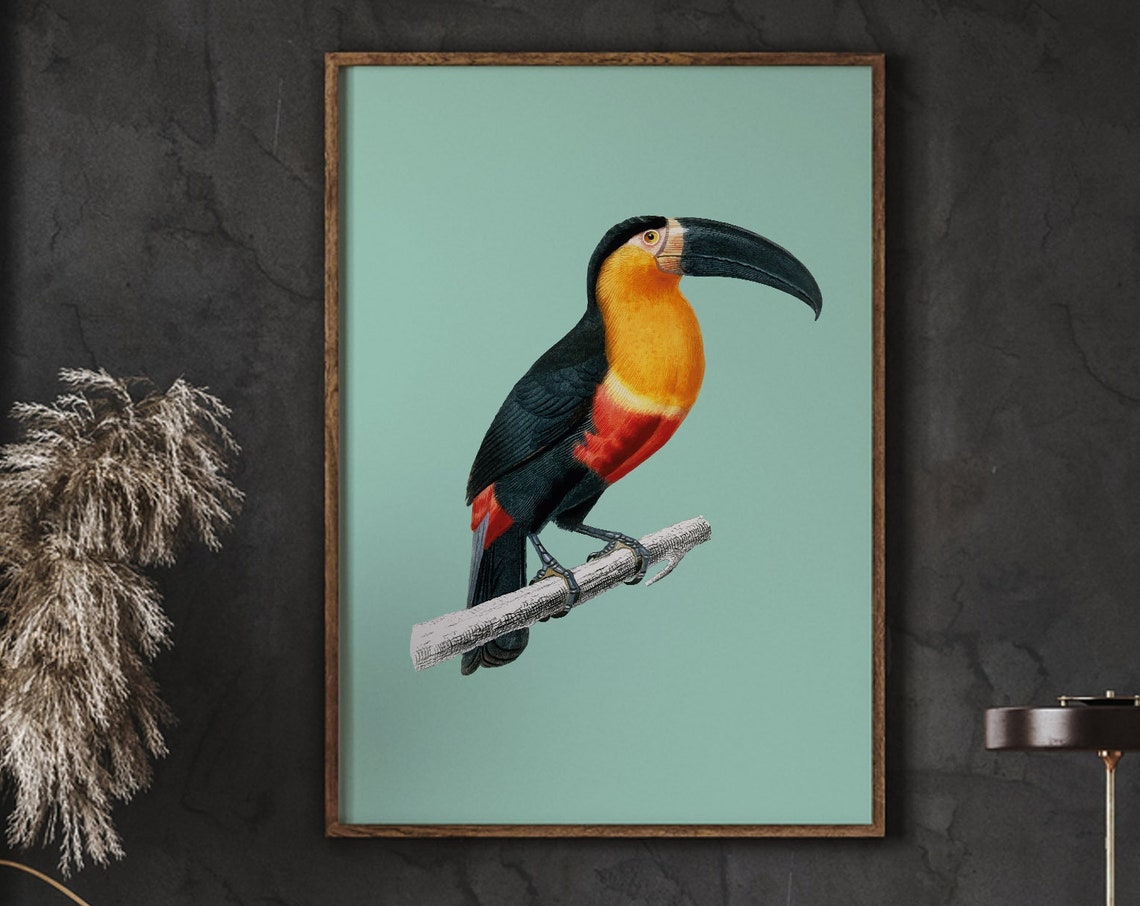 Toucan Perched Branch Vintage Bird Illustration Tropical Mint Poster
