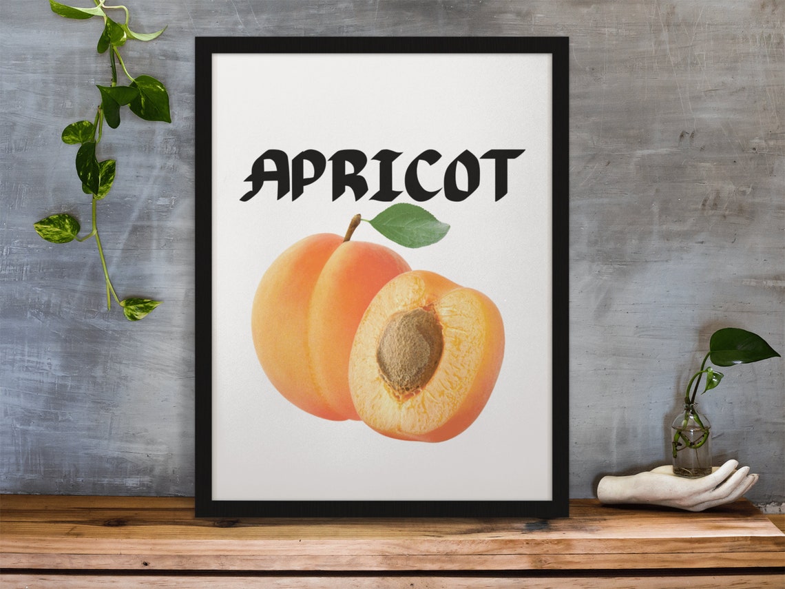 Apricot Fruit Botanical Illustration Modern Kitchen Wall Decor Poster - Image 4