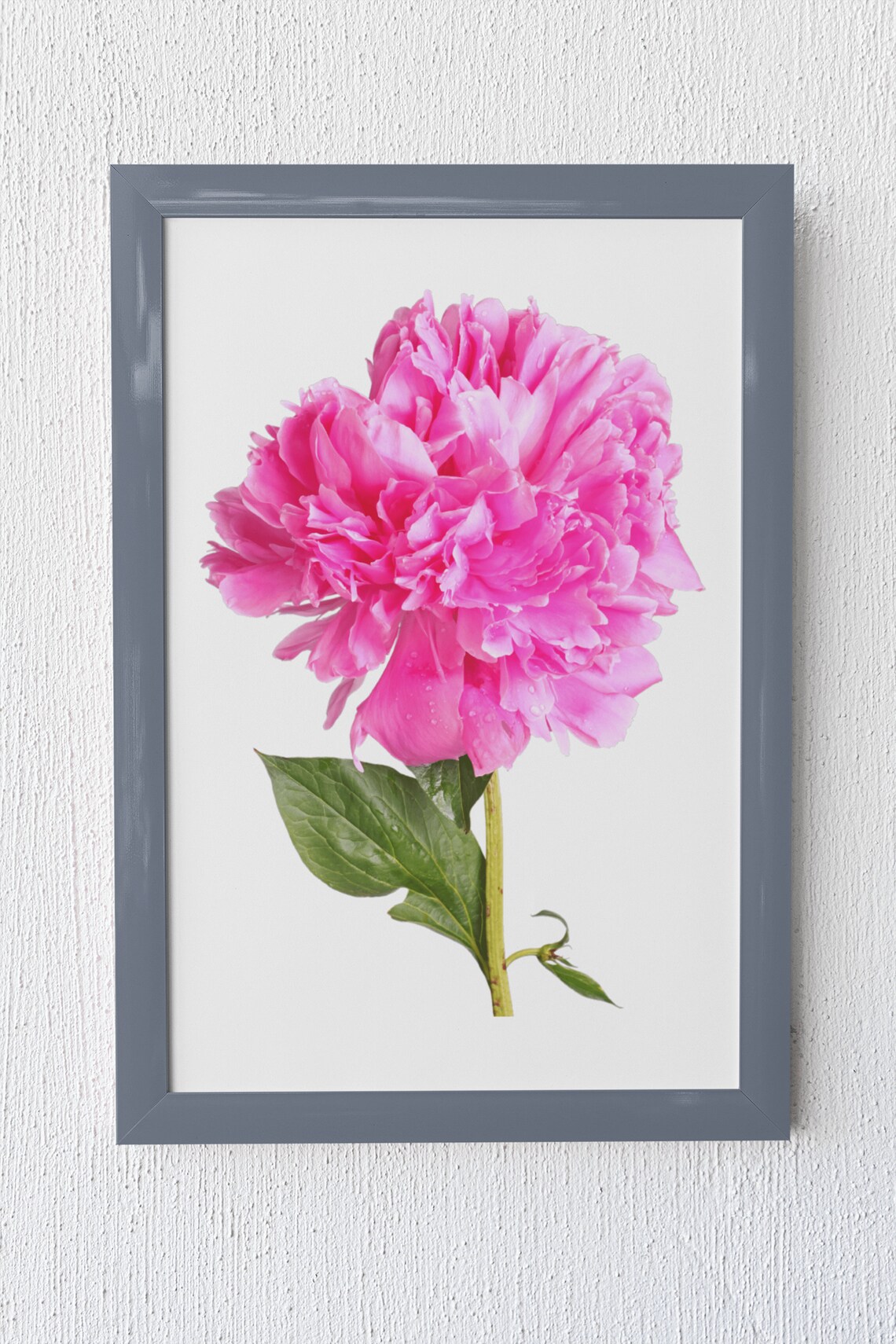 Pink Peony Flower Photography Minimalist Floral Wall Decor Poster - Image 6