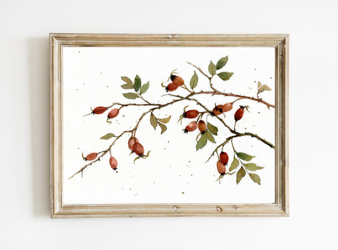 Rose Hip Watercolor Print, Farmhouse French Decor