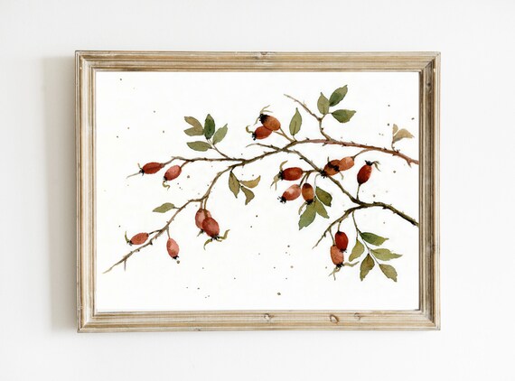 Rose Hip Watercolor Print, Farmhouse French Decor
