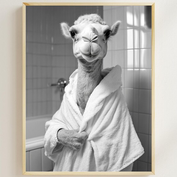 Camel In A Bathrobe Funny Black And White Bathroom Wall Poster