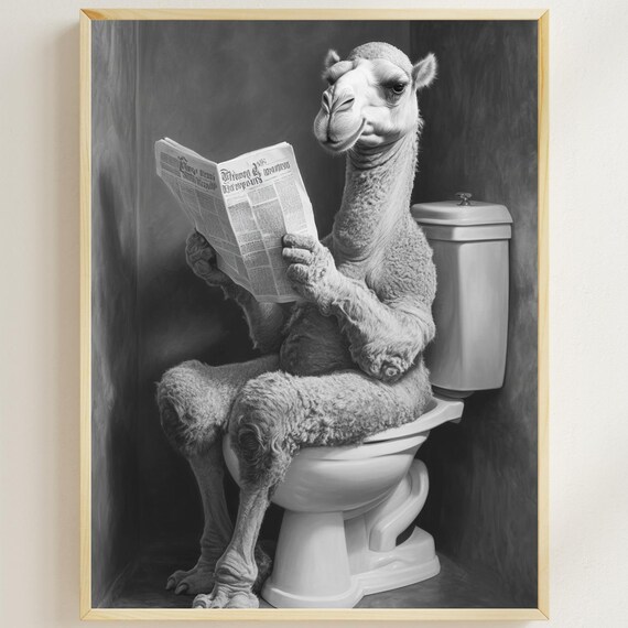 Camel Reading a Newspaper on the Toilet Black and White Bathroom Poster
