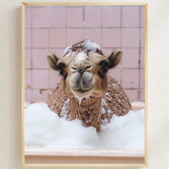 Camel in a Bubble Bath with Pink Tiles Funny Animal Bathroom Poster
