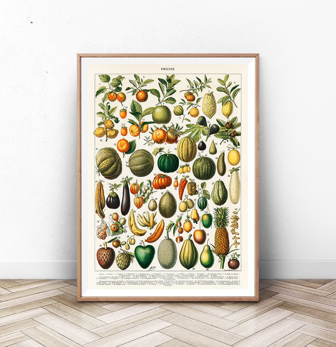 Adolphe Millot Fruits 1909 Vintage Botanical Chart Art Print