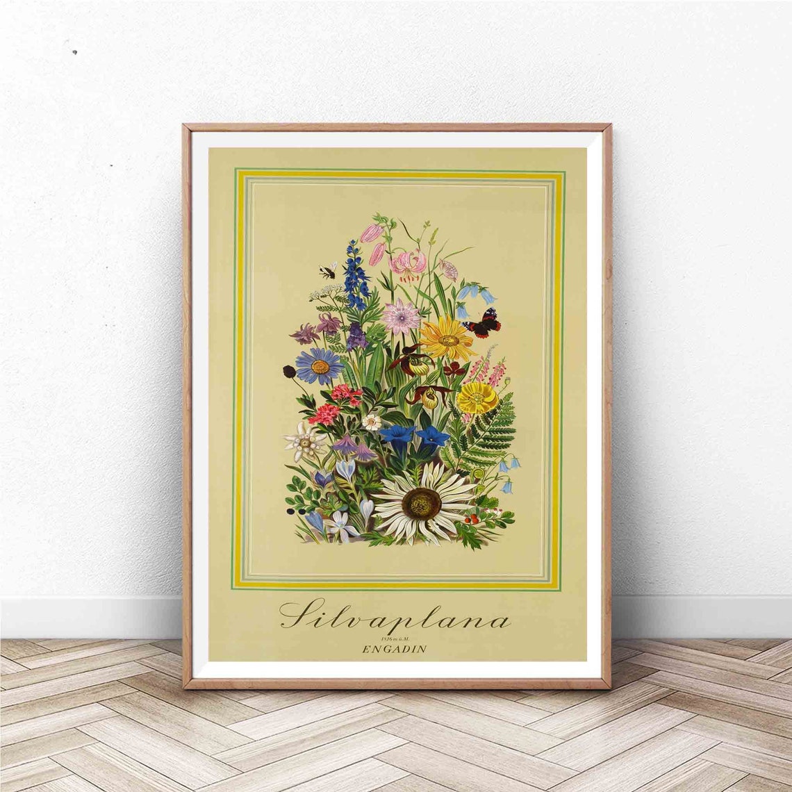 Silvaplana Engadin Alpine Wildflowers Vintage Swiss Floral Print