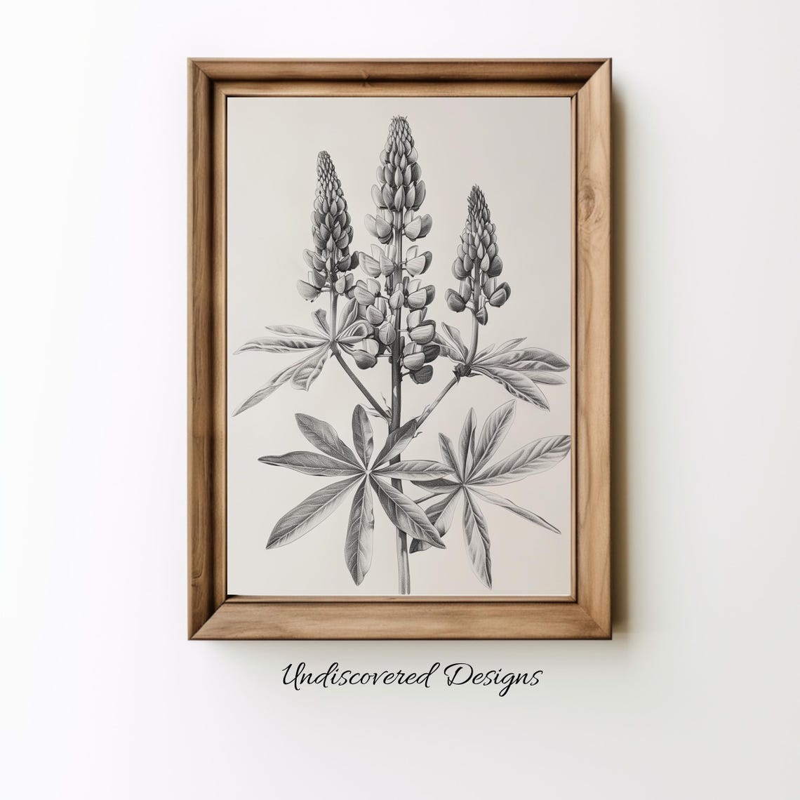 Lupin Flower Pencil Sketch Vintage Botanical Drawing Wall Art