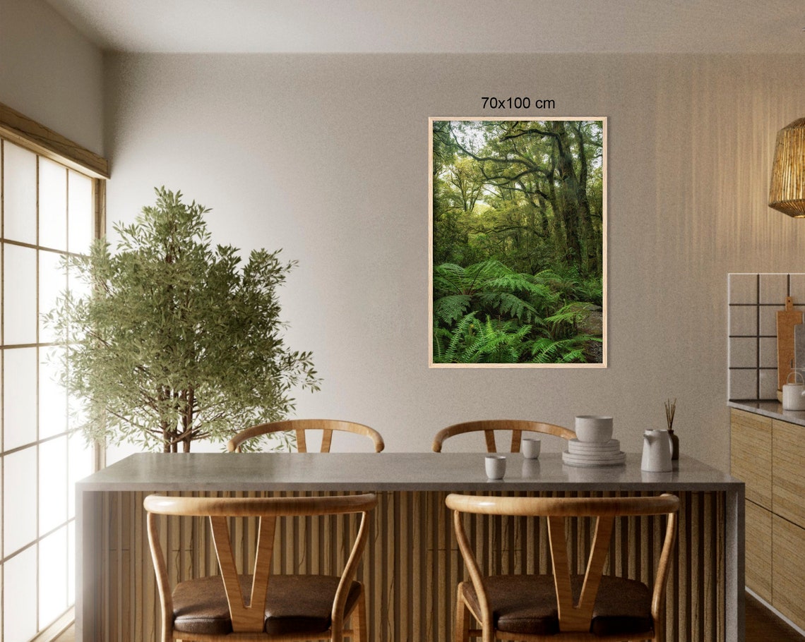 Tropical Rainforest Canopy With Giant Ferns And Mossy Trees Poster - Image 3