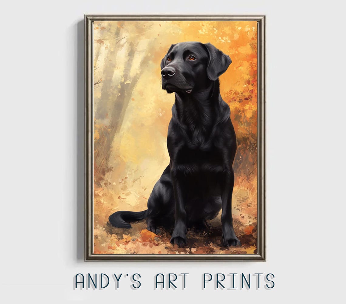 Black Labrador Sitting In Autumn Forest Golden Leaves Poster - Image 2