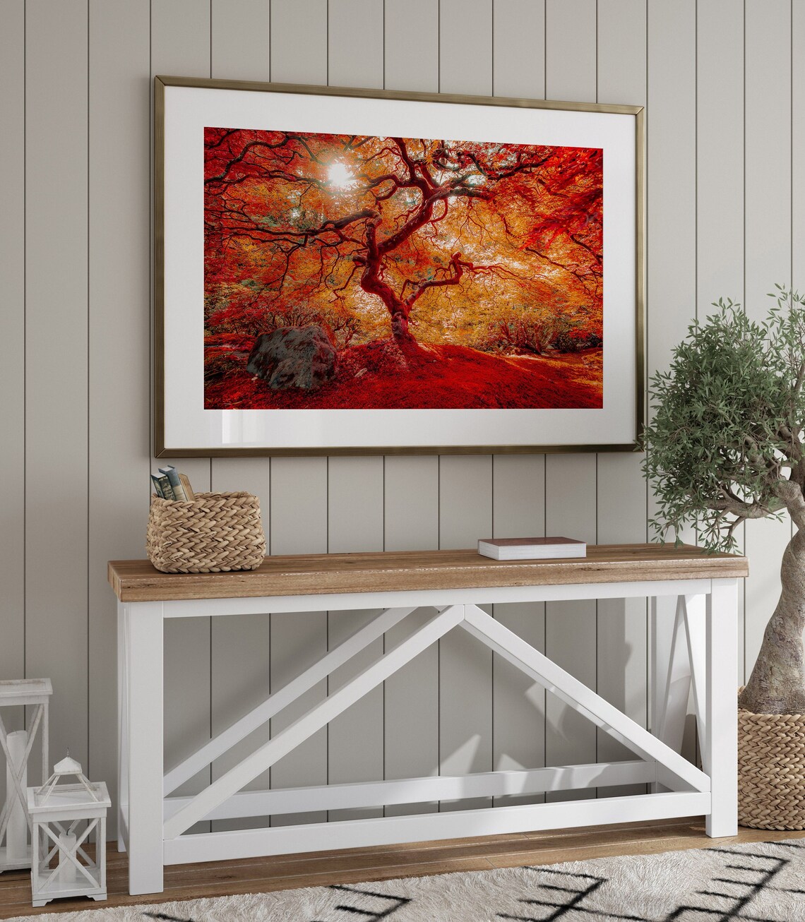 Japanese Maple Tree, Portland Japanese Garden