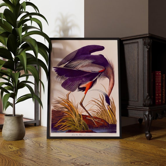 Great Blue Heron Purple Edition Vintage Bird Illustration Quirky Decor