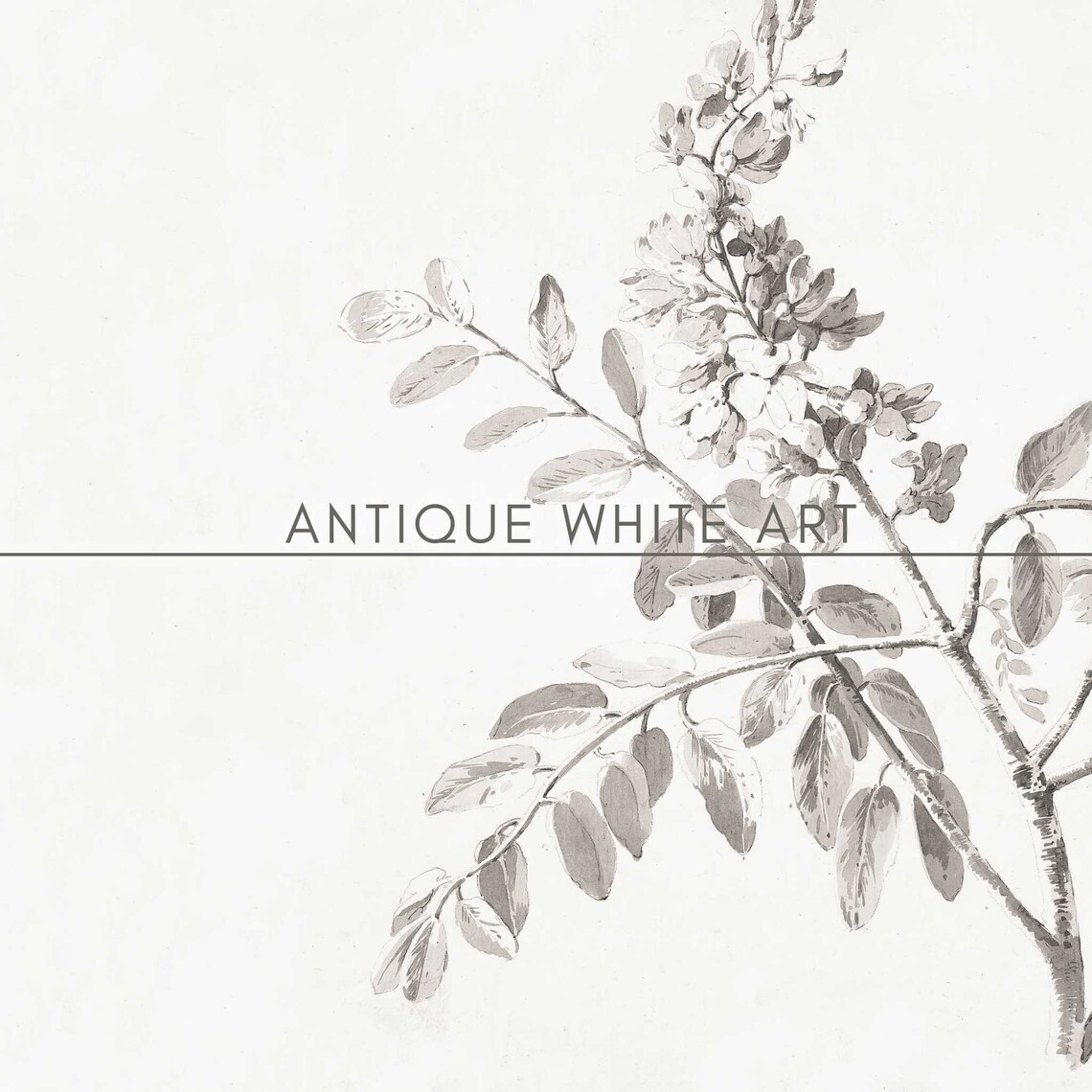 Neutral Flower Sketch Art Print, Vintage Autumn Sketch - Image 3