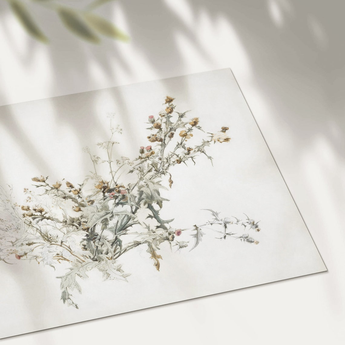 Antique Botanical Wildflower Sketch Neutral Thistle Drawing Wall Art - Image 2