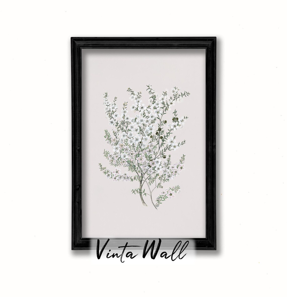 White Blossom Botanical Branch Minimal Vintage Flower Study Poster - Image 2