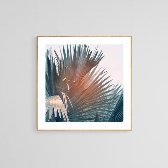 Palm Tree Photograph, Tropical Botanical Art