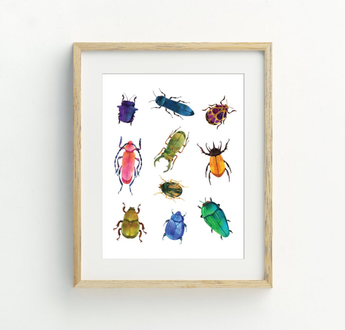 Bugs Beetle Wall Art, Insects for Kids Rooms