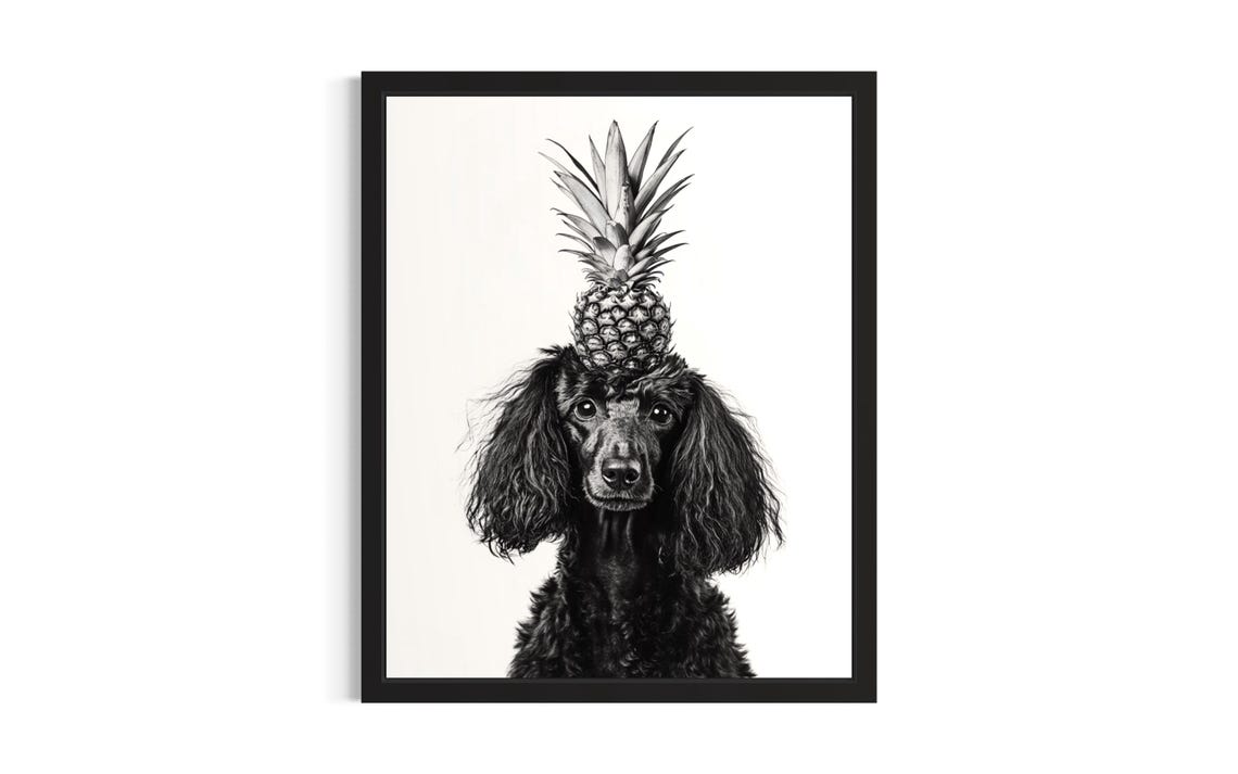 Poodle Balancing Pineapple on Head Funny Black and White Dog Poster
