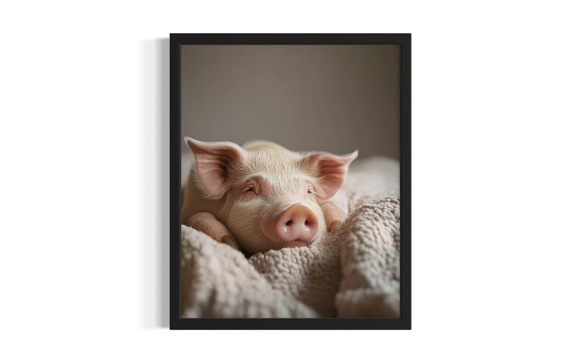 Sleepy Pink Piglet Resting on Knit Blanket Adorable Vintage Poster