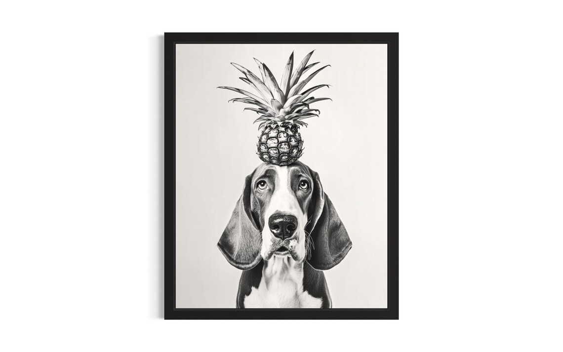 Basset Hound Balancing Pineapple Black And White Dog Portrait Poster
