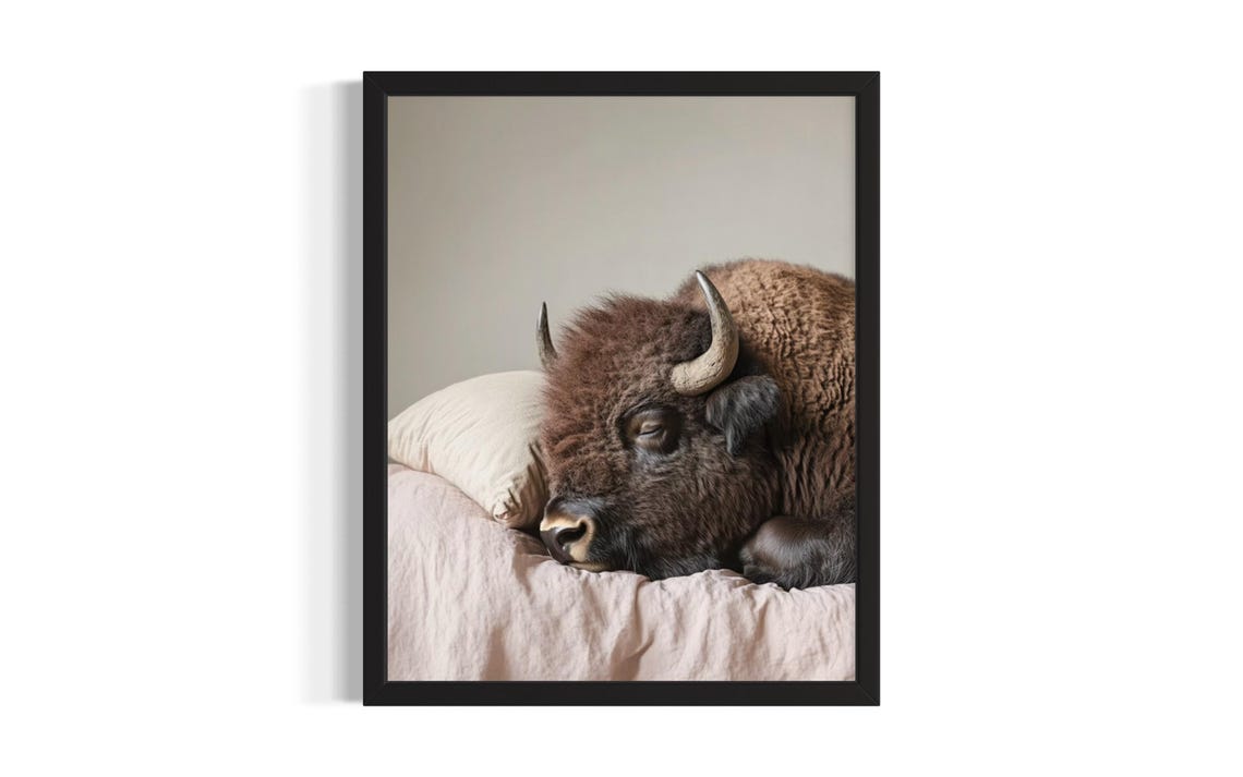 Bison Sleeping Peacefully on Cream Bedding in Warm Light Poster