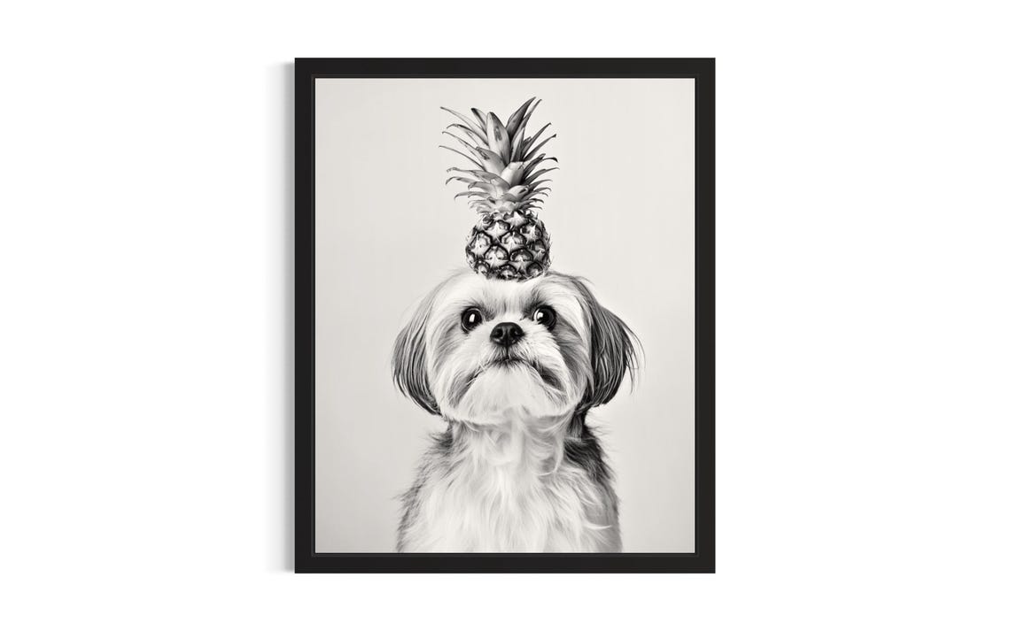Shih Tzu Balancing Pineapple Black And White Dog Portrait Poster
