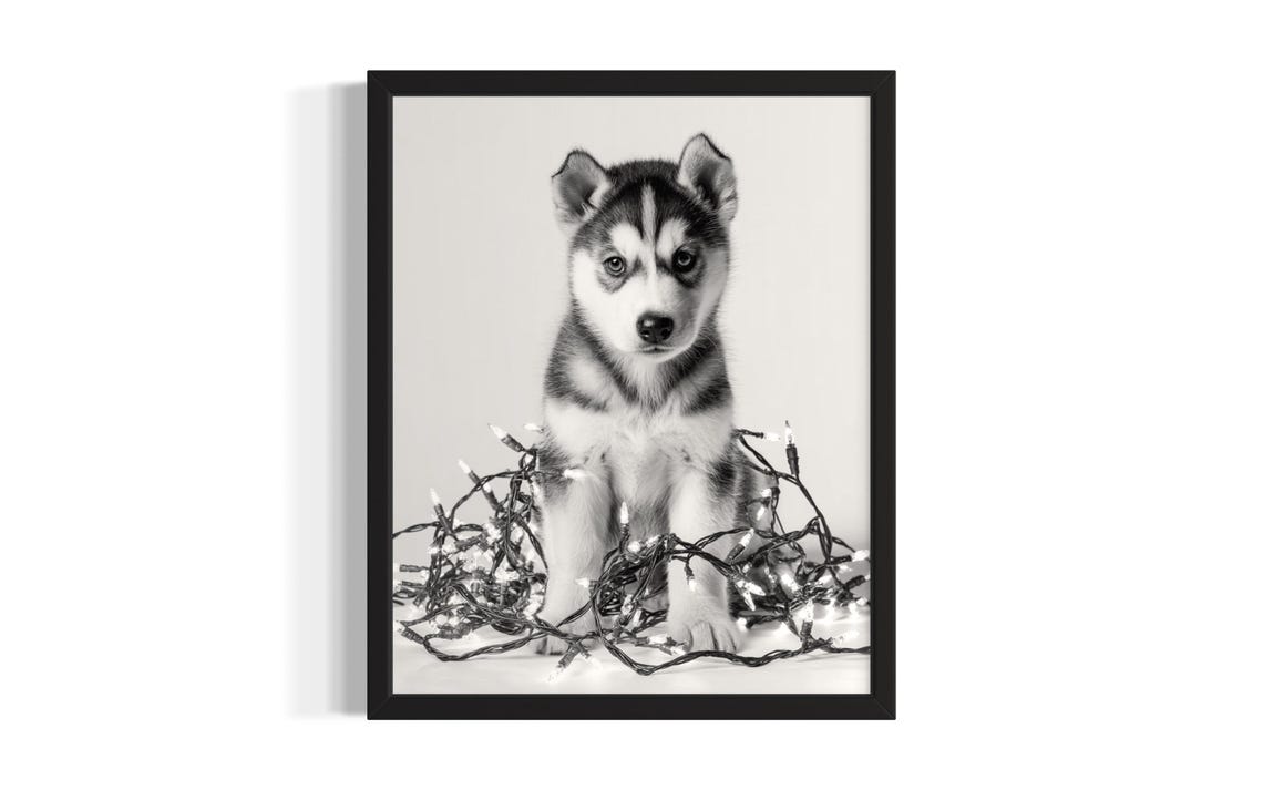 Adorable Siberian Husky Puppy Tangled In Christmas Lights Poster
