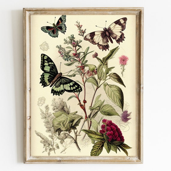 Vintage Butterfly Wall Art Butterflies Botanical Print Butterfly Antique Wall Decor Farmhouse Decor Butterflies Print Insect Wall Art
