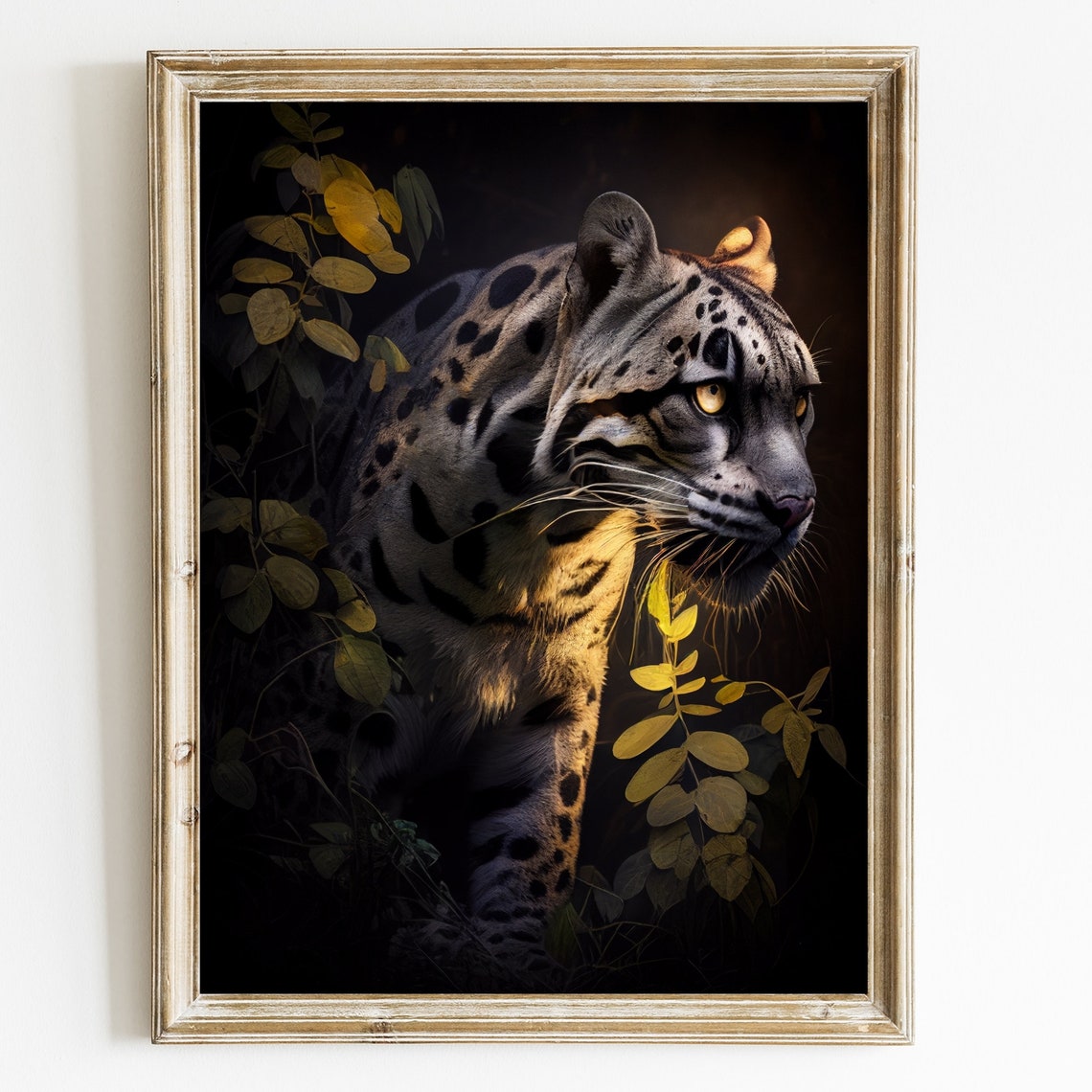 Clouded Leopard Big Cat Poster Print