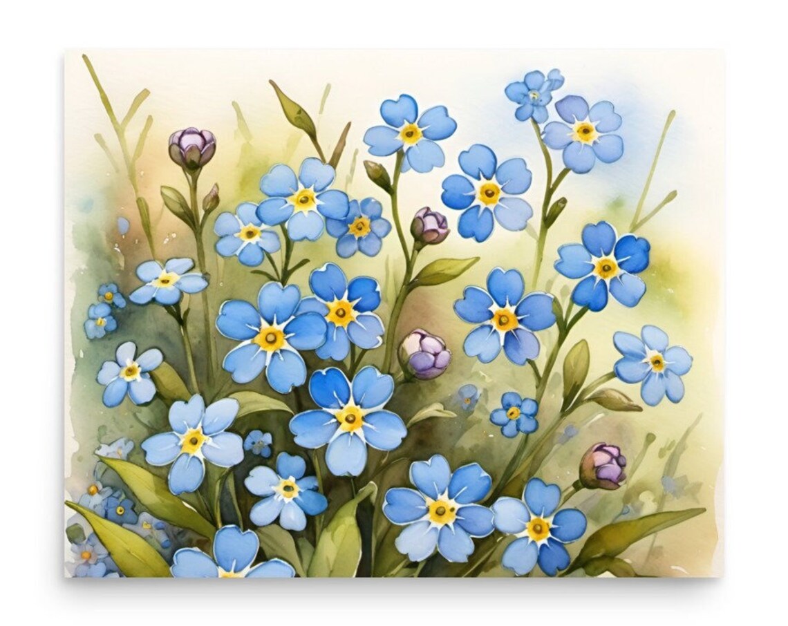 Forget Me Nots Watercolor Botanical Art Print
