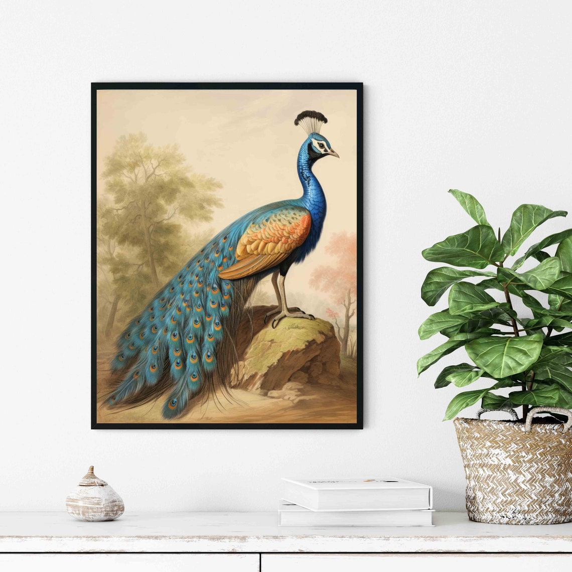 Peacock Vintage Naturalist Illustration Iridescent Tail Art Poster - Image 3