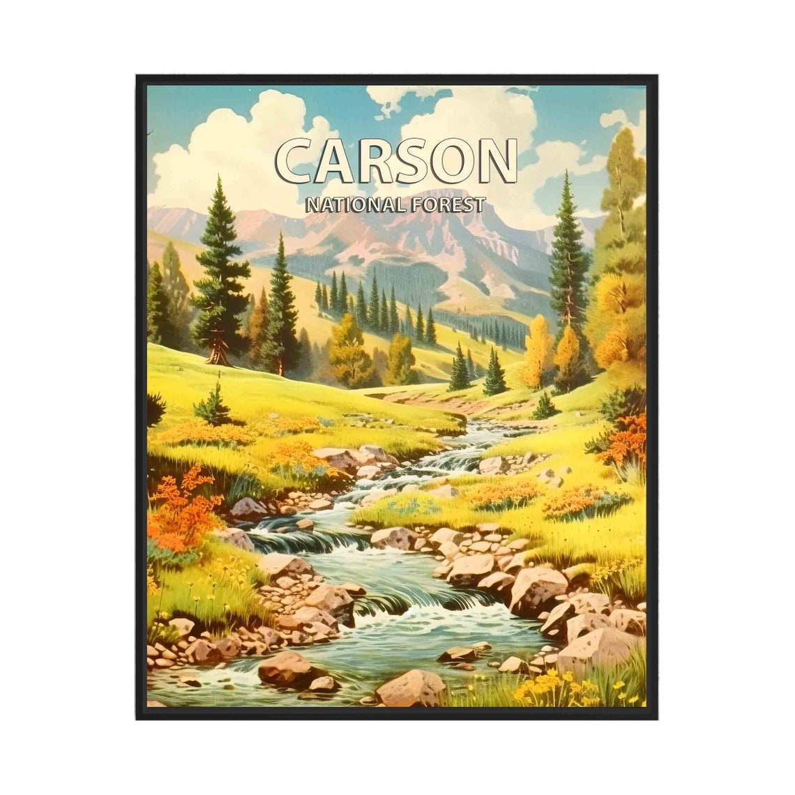 Carson National Forest Mountain Stream in an Alpine Meadow Poster