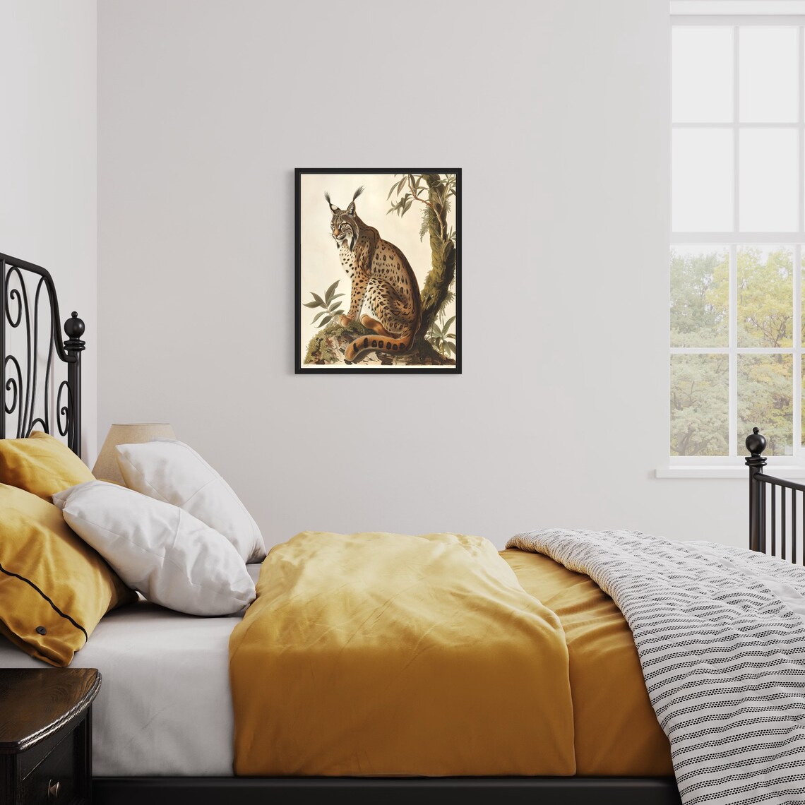 Vintage Iberian Lynx Seated Among Mossy Rocks Botanical Art Poster - Image 2