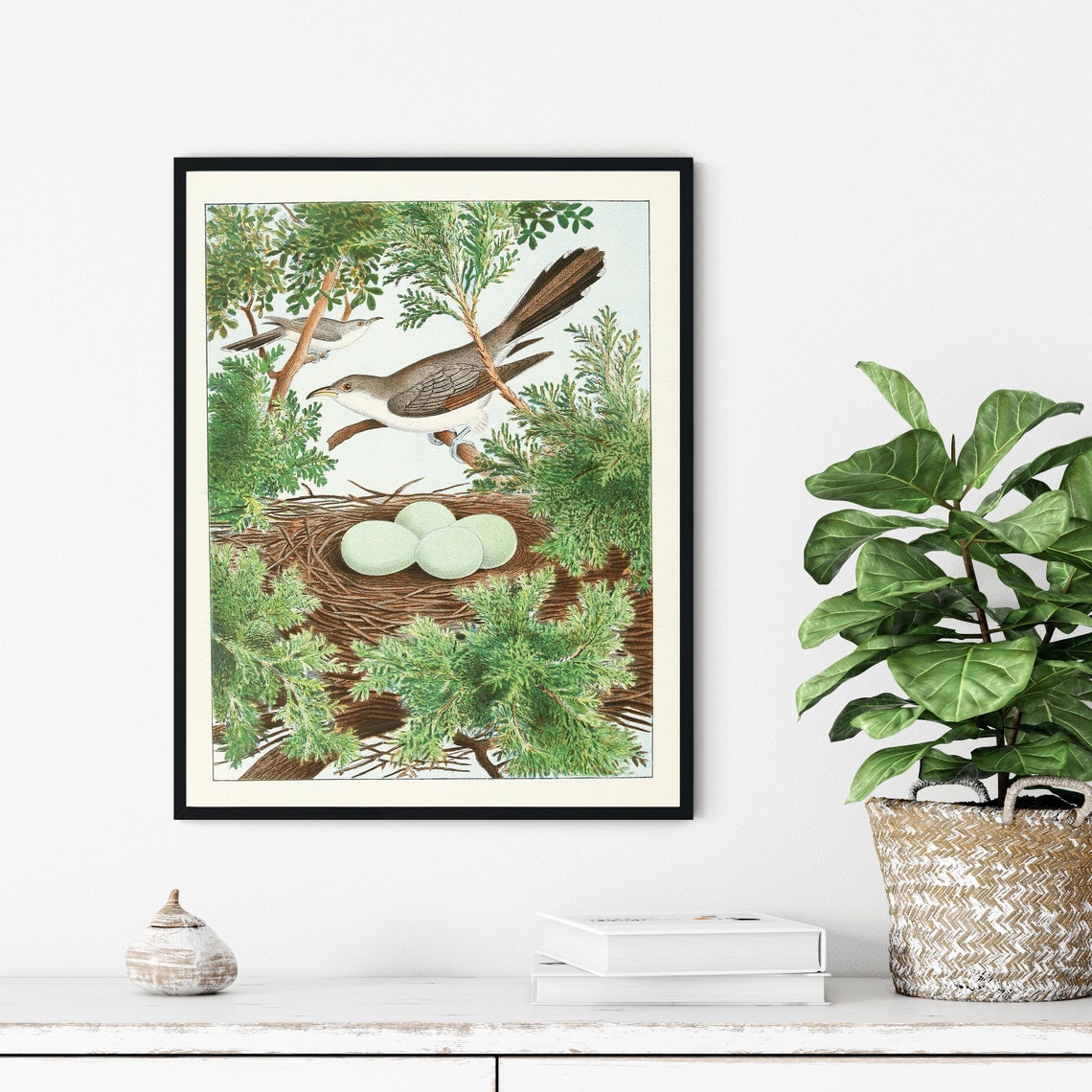 Yellow-Billed Cuckoo Nest Eggs Vintage Bird Painting Wall Art - Image 2
