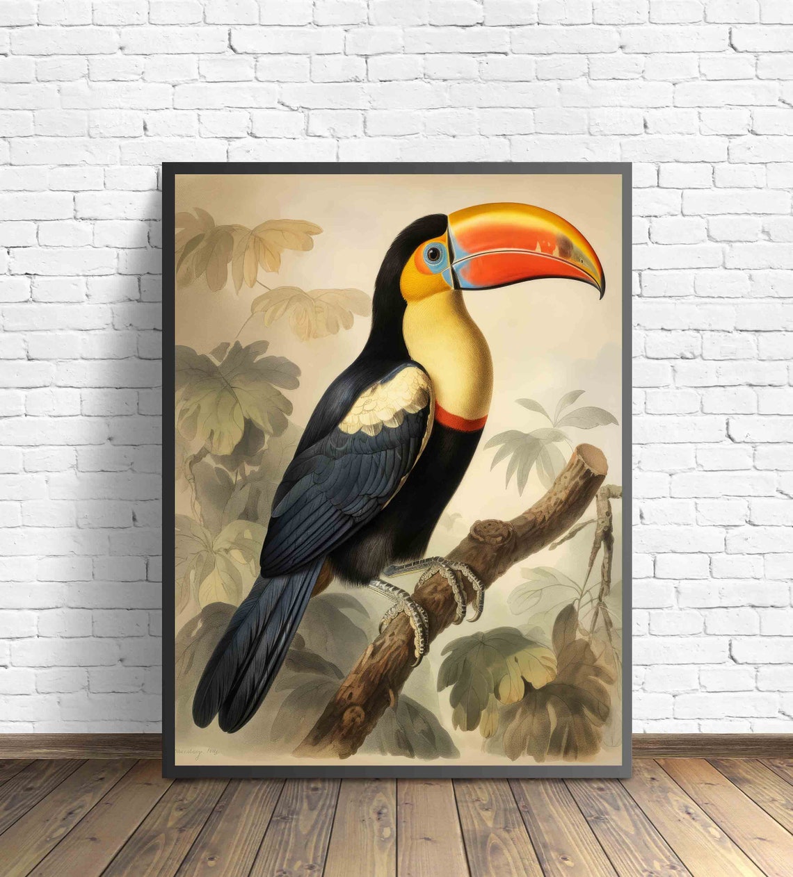 Toucan Bird Vintage Naturalist Illustration Tropical Art Poster